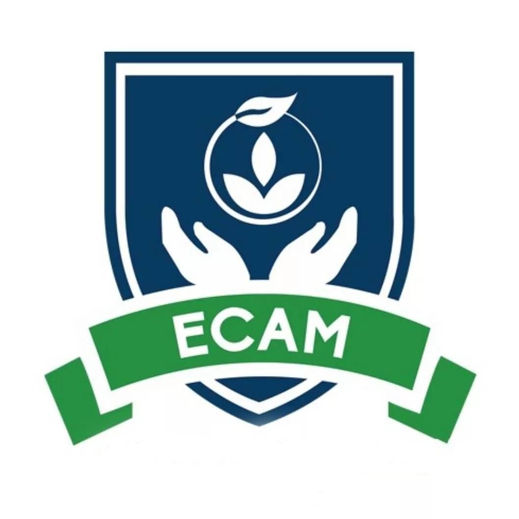 ecamcursos.com