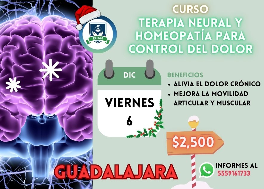 3 Terapia Neural y Homeo. GDL