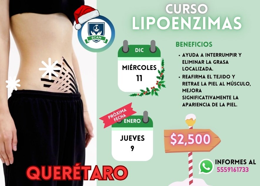 5 Lipoenzimas QRO