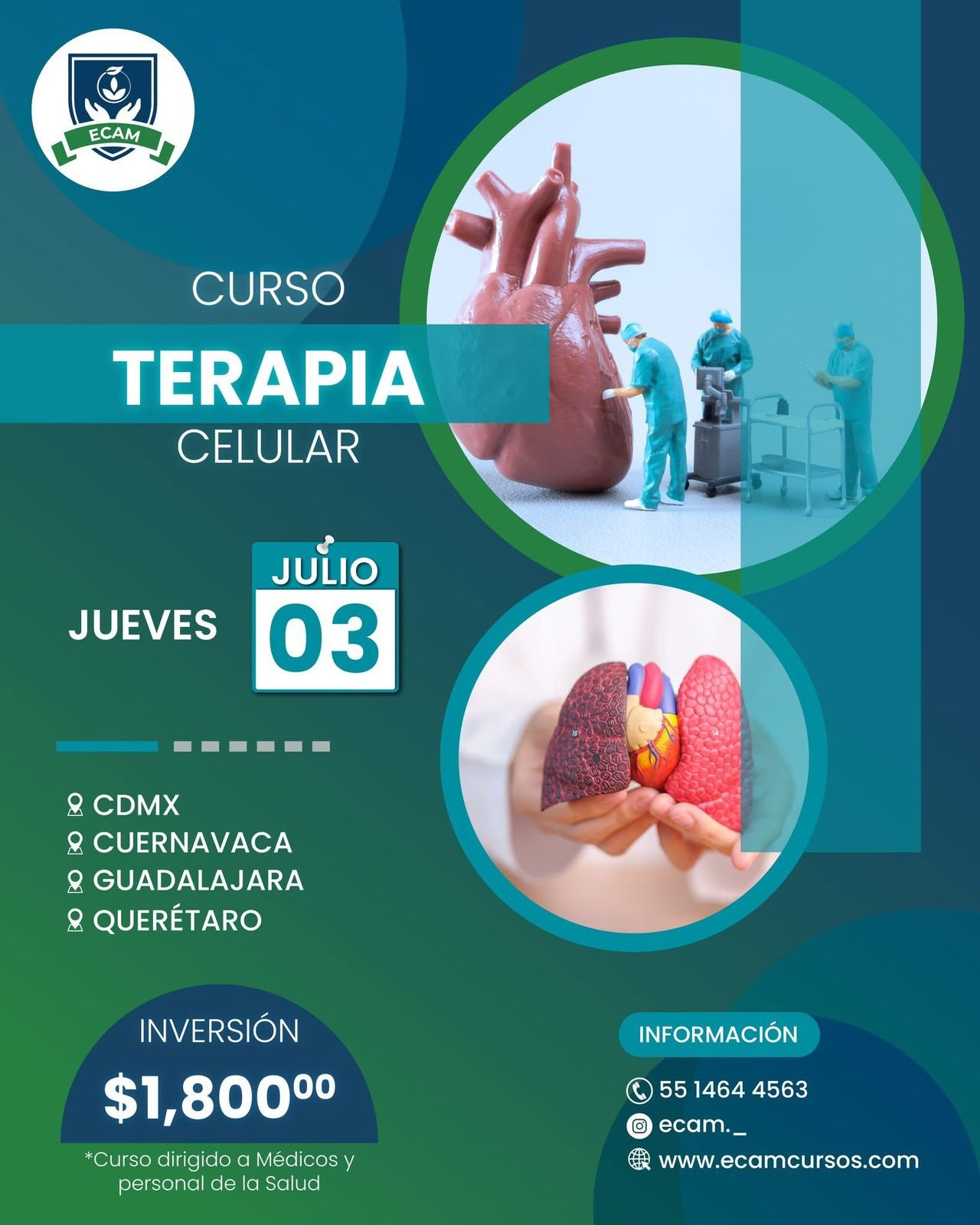 WhatsApp Image 2025-06-24 at 12.42.39 PM