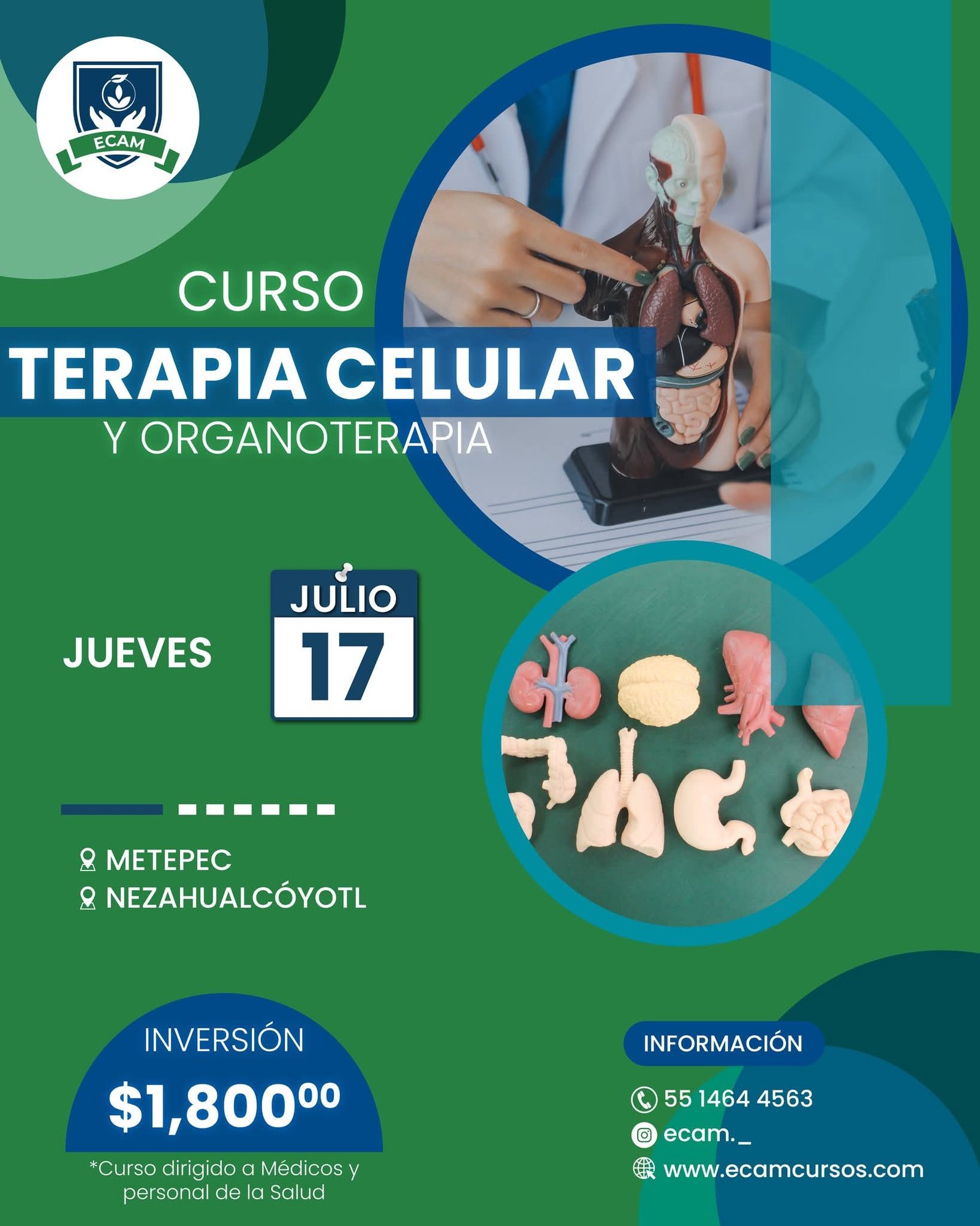 WhatsApp Image 2025-06-26 at 10.40.30 AM (1)