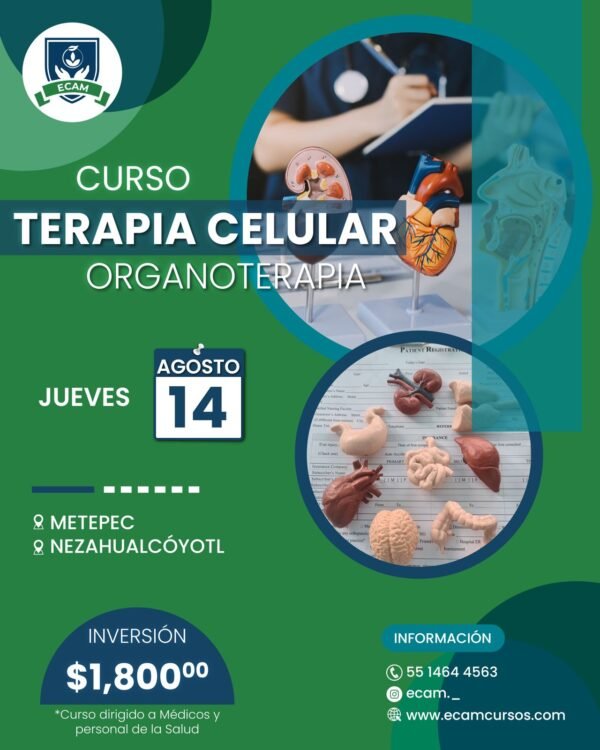 curso terapia celular (organoterapia)